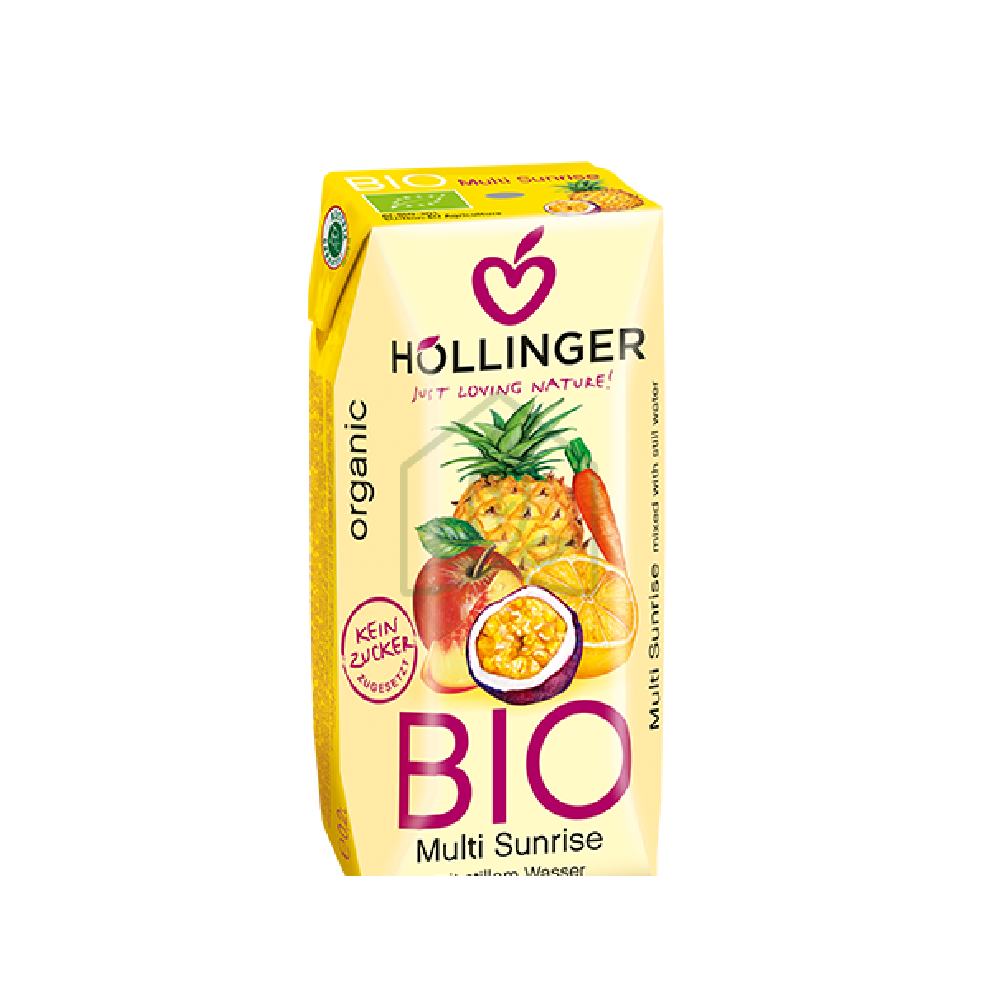 Napój Wieloowocowy z Sokiem z Marchwi BIO 200 ml Hollinger